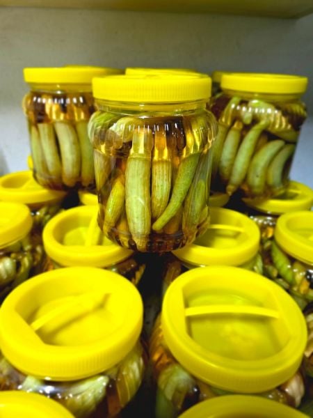 Acur Kıtti Turşusu (1000 Gr.)